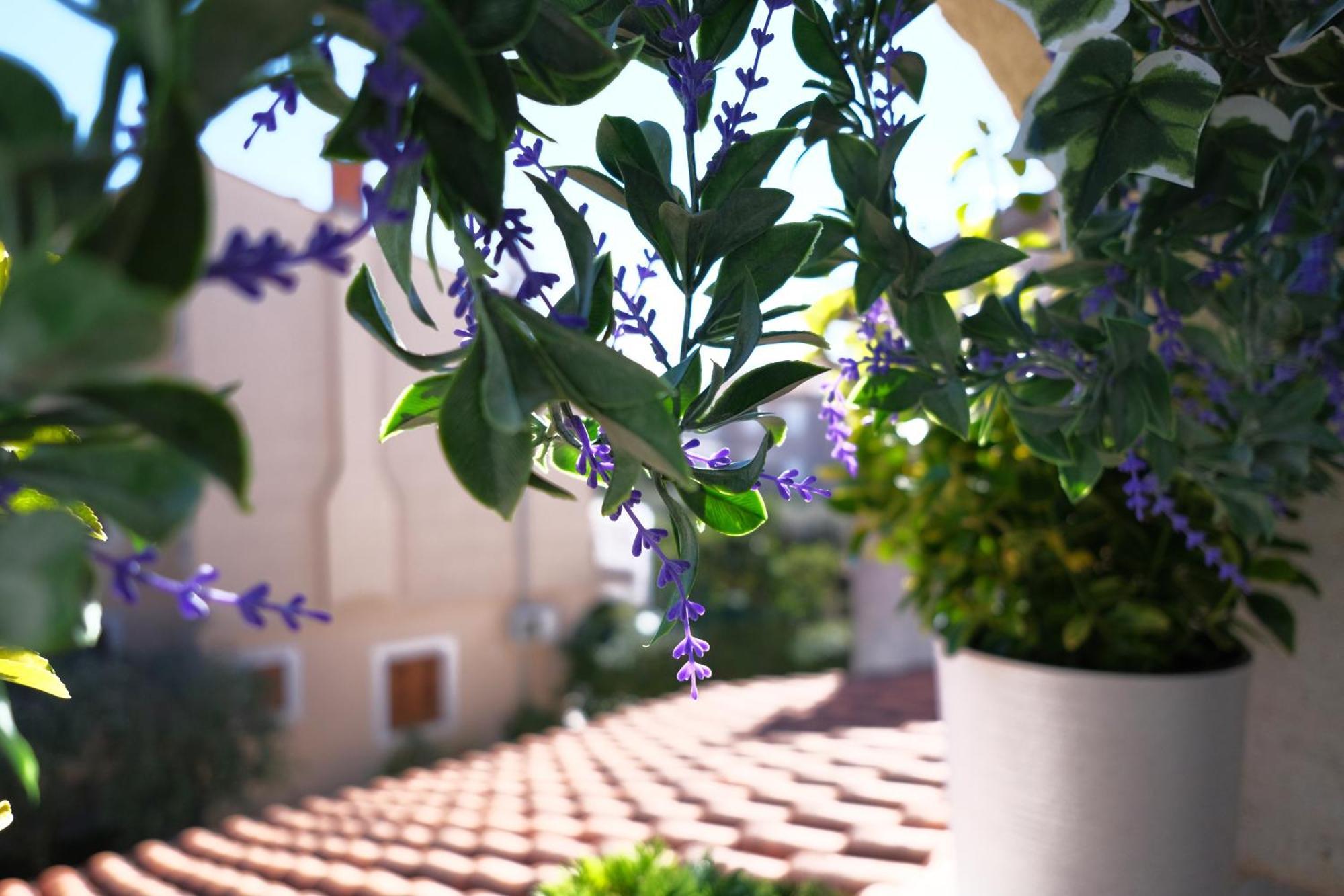 Ap Silvija Daire Zadar Dış mekan fotoğraf